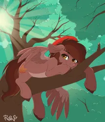 Size: 5600x6500 | Tagged: safe, artist:reins, derpibooru import, oc, oc:autumn rosewood, pegasus, beret, content, crepuscular rays, hat, image, in a tree, male, maple leaf, pegasus oc, png, solo, solo focus, solo male, tree, wings