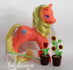 Size: 978x945 | Tagged: safe, derpibooru import, photographer:moonbreeze, butterfly hunter, earth pony, pony, g2, accessory, butterfly net, female, flower, image, irl, jpeg, mare, net, photo, potted plant, raised hoof, solo, sunflower, toy, tulip, watermark
