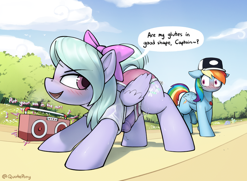 Size: 3459x2535 | Tagged: explicit, artist:quotepony, derpibooru import, cloudchaser, flitter, rainbow dash, sunshower raindrops, pegasus, pony, hurricane fluttershy, big penis, blushing, boombox, bow, cap, clothes, duo, duo futa, erection, futa, futa flitter, futa rainbow dash, g4, glutes, gym uniform, hair bow, hat, huge penis, image, intersex, lyrics, medial ring, music, nudity, penis, png, precum, put your ass in the air, semi-erect, signature, speech bubble, stretching, sweat, text, whistle