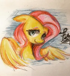 Size: 1837x2000 | Tagged: safe, artist:meowmeows, derpibooru import, fluttershy, pegasus, pony, colored pencil drawing, image, jpeg, smiling, solo, traditional art