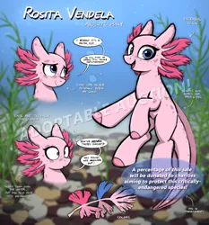 Size: 3035x3252 | Tagged: safe, artist:selenophile, derpibooru import, oc, oc:rosita vendela, unofficial characters only, axolotl, adoptable, advertisement, auction, axolotl pony, bubble, charity, crepuscular rays, cute, dialogue, fish tail, floppy ears, gills, image, looking at you, not pinkie pie, not species swap, ocean, open mouth, open smile, png, reference sheet, scales, seaweed, smiling, smiling at you, sunlight, swimming, tail, text, underwater, water