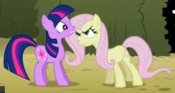 Size: 1052x562 | Tagged: safe, derpibooru import, screencap, fluttershy, twilight sparkle, earth pony, pony, season 2, the return of harmony, cropped, discorded, duo, duo female, earth pony fluttershy, earth pony twilight, female, flutterbitch, fluttercruel, g4, glare, image, looking at each other, looking at someone, mare, missing horn, missing wing, png, race swap, scared