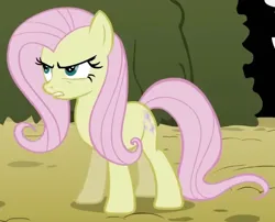 Size: 590x476 | Tagged: safe, derpibooru import, screencap, fluttershy, earth pony, pony, season 2, the return of harmony, annoyed, cropped, discorded, earth pony fluttershy, female, flutterbitch, fluttercruel, g4, glare, image, looking at someone, mare, missing wing, offscreen character, png, race swap, solo, standing