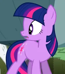 Size: 370x417 | Tagged: safe, derpibooru import, screencap, rarity, tom, twilight sparkle, earth pony, pony, unicorn, season 2, the return of harmony, cropped, earth pony twilight, female, frown, g4, image, looking at someone, mare, missing horn, offscreen character, open mouth, png, race swap, shocked