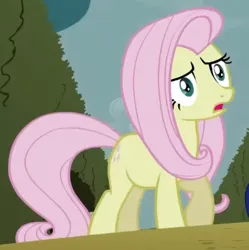Size: 366x368 | Tagged: safe, derpibooru import, screencap, fluttershy, twilight sparkle, earth pony, pony, season 2, the return of harmony, cropped, discorded, earth pony fluttershy, female, flutterbitch, fluttercruel, g4, image, mare, missing wing, png, race swap, raised hoof, shocked, shrunken pupils, standing, worried