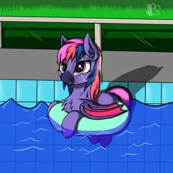 Size: 375x375 | Tagged: safe, derpibooru import, oc, oc:skarlet burn, unofficial characters only, bat pony, image, png, pool toy, water