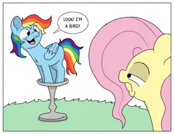 Size: 1914x1460 | Tagged: safe, artist:doodledonutart, derpibooru import, fluttershy, rainbow dash, pegasus, pony, behaving like a bird, bird bath, dialogue, duo, duo female, female, fluttershy is not amused, frown, g4, image, looking at each other, looking at someone, mare, missing cutie mark, narrowed eyes, png, simple background, speech bubble, unamused, white background