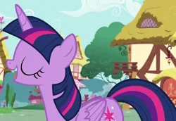 Size: 1048x720 | Tagged: safe, derpibooru import, twilight sparkle, castle sweet castle, image, png