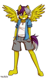 Size: 1157x1920 | Tagged: safe, artist:anibaruthecat, derpibooru import, oc, unofficial characters only, anthro, pegasus, anthro oc, clothes, grin, hoof feet, image, jewelry, male, necklace, old art, one eye closed, png, poké ball, pokémon, shorts, simple background, smiling, solo, transparent background
