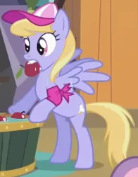 Size: 219x280 | Tagged: safe, derpibooru import, screencap, cloud kicker, pegasus, pony, season 2, sisterhooves social, apple, apple bobbing, arm band, baseball cap, cap, cropped, female, food, g4, hat, image, mare, mouth hold, png, solo, spread wings, wings