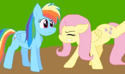 Size: 1457x854 | Tagged: safe, artist:cmara, derpibooru import, fluttershy, rainbow dash, pegasus, duo, duo female, female, g4, image, png, stretching