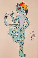 Size: 1056x1630 | Tagged: safe, artist:camerontehtranz, derpibooru import, rainbow dash, anthro, cheetah, plantigrade anthro, ear piercing, earring, g4, grin, image, jewelry, jpeg, looking at you, one eye closed, piercing, signature, smiling, species swap, tail, thumbs up, traditional art, wink, winking at you