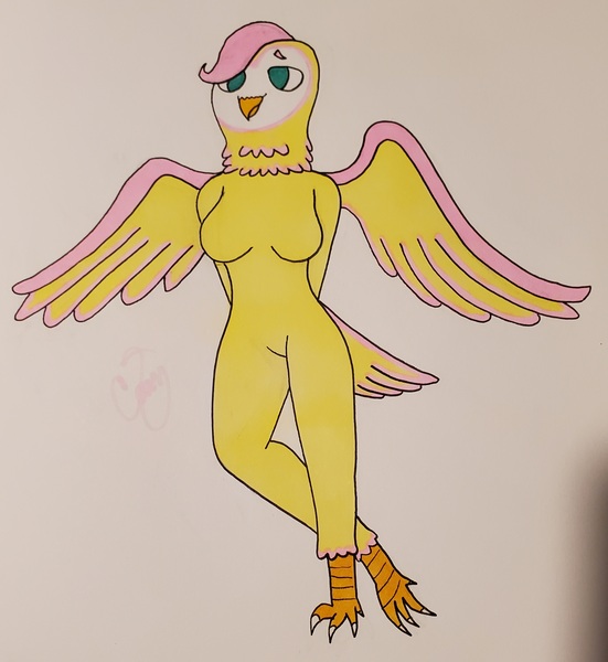Size: 2860x3117 | Tagged: safe, artist:camerontehtranz, derpibooru import, fluttershy, anthro, bird, owl, arm behind back, barn owl, beak, breasts, featureless breasts, featureless crotch, furrified, g4, image, jpeg, solo, species swap, spread wings, tail, tail feathers, talons, traditional art, wings