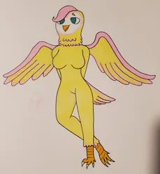 Size: 2860x3117 | Tagged: safe, artist:camerontehtranz, derpibooru import, fluttershy, anthro, bird, owl, arm behind back, barn owl, beak, breasts, featureless breasts, featureless crotch, furrified, g4, image, jpeg, solo, species swap, spread wings, tail, tail feathers, talons, traditional art, wings