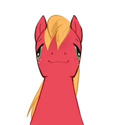 Size: 1427x1491 | Tagged: safe, artist:aztrial, derpibooru import, big macintosh, earth pony, pony, cursed image, faic, freckles, front facing, image, male, png, simple background, solo, stallion, white background
