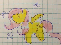 Size: 2048x1542 | Tagged: safe, artist:enjoy_mayer, derpibooru import, fluttershy, butterfly, insect, pegasus, pony, graph paper, image, jpeg, marker drawing, paper, pen drawing, solo, traditional art