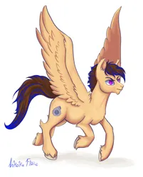 Size: 964x1200 | Tagged: safe, artist:ankokuflare, derpibooru import, oc, unofficial characters only, pegasus, pony, flying, image, male, pegasus oc, png, purple eyes, simple background, solo, stallion, unshorn fetlocks, white background, wings