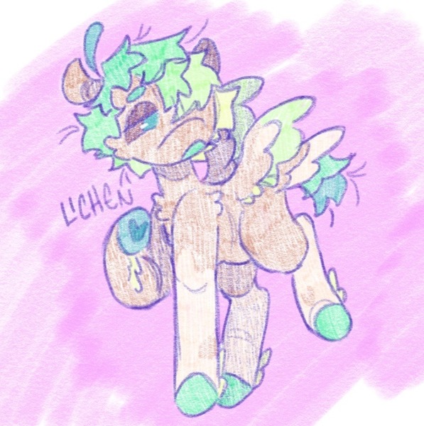 Size: 956x961 | Tagged: safe, artist:tottallytoby, derpibooru import, oc, oc:lichen, unofficial characters only, pegasus, pony, beanbrows, chest fluff, coat markings, colored eyebrows, colored hooves, colored sclera, colored wings, colored wingtips, eyebrows, fetlock tuft, green mane, green tail, hair over one eye, hoof heart, image, jpeg, leg fluff, lidded eyes, multicolored mane, multicolored tail, open mouth, pegasus oc, ponysona, raised hoof, raised hooves, short mane, short tail, socks (coat marking), solo, standing, tail, teal eyes, two toned wings, underhoof, wingding eyes, wings