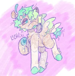Size: 956x961 | Tagged: safe, artist:tottallytoby, derpibooru import, oc, oc:lichen, unofficial characters only, pegasus, pony, beanbrows, chest fluff, coat markings, colored eyebrows, colored hooves, colored sclera, colored wings, colored wingtips, eyebrows, fetlock tuft, green mane, green tail, hair over one eye, hoof heart, image, jpeg, leg fluff, lidded eyes, multicolored mane, multicolored tail, open mouth, pegasus oc, ponysona, raised hoof, raised hooves, short mane, short tail, socks (coat marking), solo, standing, tail, teal eyes, two toned wings, underhoof, wingding eyes, wings