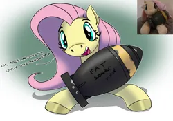 Size: 3515x2480 | Tagged: safe, artist:ostarbito, derpibooru import, fluttershy, pegasus, pony, atomic bomb, bomb, caption, cute, female, goofy, green background, green eyes, image, image macro, jpeg, looking at you, mare, nuclear weapon, open mouth, photo, pink mane, reference, shyabetes, silly, silly pony, simple background, solo, text, weapon, yellow coat