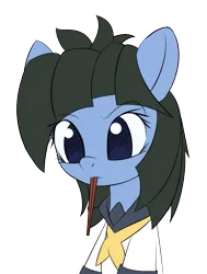 Size: 699x926 | Tagged: safe, artist:an-m, derpibooru import, oc, oc:abstract module, unofficial characters only, earth pony, pony, bust, chopsticks, clothes, female, frown, image, mare, mouth hold, png, portrait, simple background, solo, transparent background