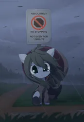 Size: 1800x2600 | Tagged: safe, artist:an-m, derpibooru import, oc, oc:reflect decrypt, unofficial characters only, earth pony, pony, cape, clothes, female, high res, image, looking at you, mare, png, rain, sitting, solo, street sign, wind