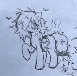Size: 1529x1503 | Tagged: safe, artist:ponysocks, derpibooru import, oc, oc:floor bored, earth pony, fly, insect, pony, bags under eyes, female, hair tie, image, jpeg, mare, sketch, smelly, stink lines, traditional art