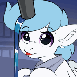 Size: 560x560 | Tagged: artist needed, safe, derpibooru import, oc, oc:file folder, unofficial characters only, pony, animated, behaving like a cat, clothes, dumb, gif, image, male, scarf, sink, solo, stallion