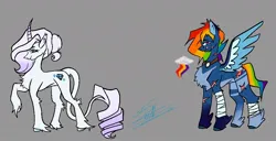 Size: 950x488 | Tagged: safe, artist:arcticsaiyan, derpibooru import, rainbow dash, rarity, pegasus, pony, unicorn, alternate design, bandage, clothes, coat markings, curly tail, goggles, image, jpeg, leonine tail, redesign, scar, sharkface, socks, tail, twitterina design, white mane