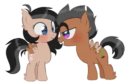 Size: 895x578 | Tagged: safe, derpibooru import, oc, oc:finch, oc:wren, unofficial characters only, pegasus, pony, au:equuis, ahoge, alternate universe, black hair, blue eyes, blushing, brother and sister, colt, cutie mark, duo, ear tufts, eye contact, female, filly, foal, freckles, grey hair, hoof fluff, image, looking at each other, looking at someone, male, pink eyes, png, siblings, smiling, spiky mane, twins, wings
