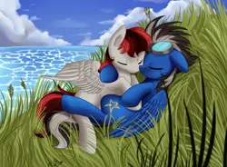 Size: 2777x2046 | Tagged: safe, artist:pridark, derpibooru import, oc, unofficial characters only, pegasus, pony, duo, eyes closed, goggles, goggles on head, grass, image, lying down, on back, png, sky, snuggling, water