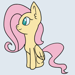 Size: 560x560 | Tagged: safe, artist:bubblegooey, derpibooru import, fluttershy, pegasus, pony, animated, blush lines, blush sticker, blushing, colored, cute, ear fluff, embarrassed, female, floppy ears, folded wings, g4, gif, green eyes, image, looking at you, mare, missing cutie mark, pink mane, pink tail, pinpoint eyes, raised hoof, shy, shyabetes, simple background, sitting, smiling, solo, surprised, tail, turning, white background, wings, yellow coat