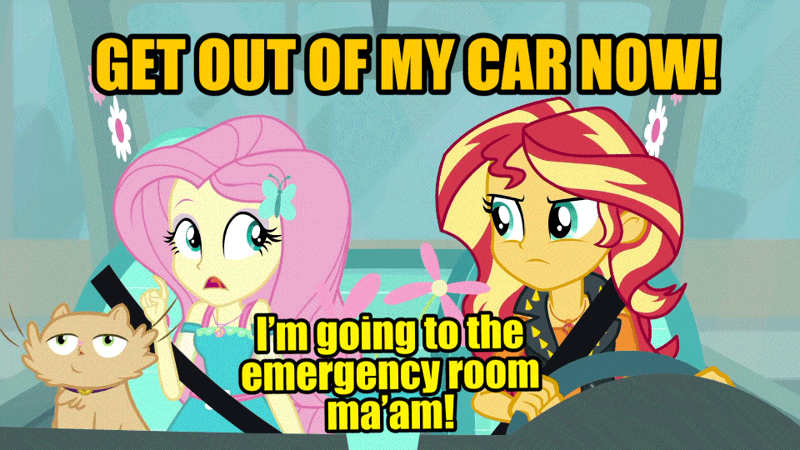 Size: 960x540 | Tagged: safe, edit, edited screencap, editor:undeadponysoldier, ponerpics import, ponybooru import, screencap, fluttershy, sunset shimmer, cat, equestria girls, angry, car, get out of my car, gif, image, meme, parody, reference, seatbelt, steering wheel, video reference