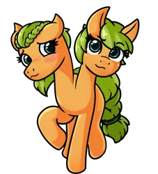 Size: 3000x3300 | Tagged: safe, derpibooru import, oc, unofficial characters only, pony, conjoined, conjoined twins, dreamworks face, female, image, mare, multiple heads, png, shy, simple background, transparent background, two heads