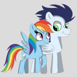 Size: 1400x1400 | Tagged: safe, artist:mrsdashskies, derpibooru import, rainbow dash, soarin', pegasus, pony, female, image, male, mare, png, shipping, soarindash, stallion, straight