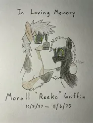 Size: 3024x4032 | Tagged: safe, artist:carty, derpibooru import, oc, oc:carty, oc:reeko, unofficial characters only, earth pony, image, jpeg, memorial