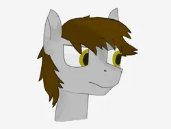 Size: 2746x2060 | Tagged: safe, artist:kokopingas98, derpibooru import, oc, oc:anthon, unofficial characters only, pegasus, pony, bust, expressionless face, image, looking away, male, male focus, pegasus oc, png, shading, simple background, solo, solo focus, solo male, wings