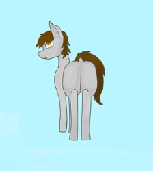 Size: 891x996 | Tagged: suggestive, artist:kokopingas98, derpibooru import, oc, oc:anthon, unofficial characters only, pegasus, pony, butt, digital art, dock, expressionless face, image, male, pegasus oc, plot, png, ponysona, rear, rear view, simple background, solo, solo focus, solo male, tail, tail aside, wings