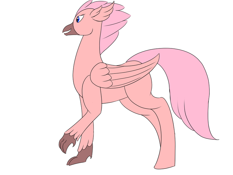 Size: 1600x1200 | Tagged: safe, artist:saint boniface, derpibooru import, oc, hippogriff, blue eyes, hippogriff oc, image, navy eyes, pink, pink feathers, png, solo