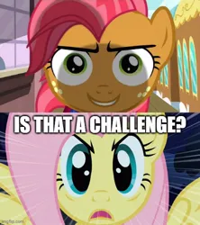 Size: 500x562 | Tagged: episode needed, safe, derpibooru import, edit, edited screencap, screencap, babs seed, fluttershy, pegasus, pony, caption, g4, image, imgflip, jpeg, stare, text, the stare