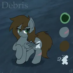 Size: 1515x1515 | Tagged: safe, artist:nyrikiri, derpibooru import, oc, oc:debris, unofficial characters only, bat pony, image, png, reference sheet, solo
