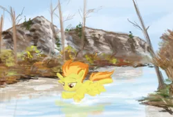 Size: 712x480 | Tagged: safe, artist:kleyime, ponerpics import, spitfire, pegasus, pony, bob ross, dead tree, dead trees, flying, image, mountain, mountain range, png, reflection, solo, tree, water