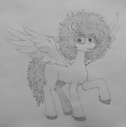 Size: 3025x3060 | Tagged: safe, artist:curly horse, derpibooru import, oc, pegasus, pony, black and white, curly hair, curly mane, grayscale, high res, image, jpeg, looking at you, male, monochrome, pencil drawing, raised hoof, simple background, sketch, smiling, spread wings, stallion, traditional art, white background, wings