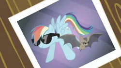 Size: 1920x1080 | Tagged: safe, derpibooru import, screencap, rainbow dash, bat, pegasus, pony, may the best pet win, season 2, desaturated, duo, female, g4, image, mare, photo, png, posing for photo, rainbow dash's sunglasses, smiling, spread wings, sunglasses, wings, wrong cutie mark