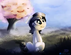 Size: 2072x1609 | Tagged: safe, artist:blankedsoul, derpibooru import, oc, oc:inky noire, earth pony, pony, atmosphere, black mane, cherry blossoms, cute, flower, flower blossom, gray eyes, image, png, sitting, solo, tree, white coat