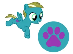 Size: 800x600 | Tagged: safe, artist:princessstar022, derpibooru import, oc, oc:paw print, unofficial characters only, pegasus, pony, base used, colt, foal, g4, image, male, offspring, parent:shady daze, parent:zippoorwhill, png, simple background, solo, white background