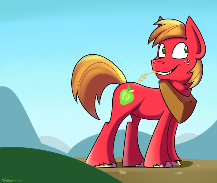 Size: 2329x1971 | Tagged: safe, artist:tehshockwave, derpibooru import, big macintosh, earth pony, pony, image, male, png, smiling, solo, stallion