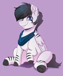 Size: 2632x3192 | Tagged: safe, artist:witchtaunter, derpibooru import, pegasus, pony, zebra, clothes, commission, image, male, png, scarf, sitting, stallion