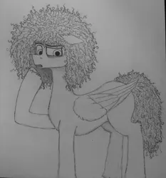 Size: 3004x3218 | Tagged: safe, artist:curly horse, derpibooru import, oc, pegasus, pony, confused, curly hair, curly mane, eyebrows, floppy ears, fluffy, folded wings, grayscale, high res, image, jpeg, male, monochrome, pegasus oc, pencil drawing, raised eyebrow, raised hoof, simple background, solo, stallion, traditional art, white background, wings