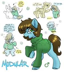 Size: 3650x4096 | Tagged: safe, artist:opalacorn, derpibooru import, oc, oc:modular, unofficial characters only, earth pony, pegasus, pony, clothes, commission, dialogue, female, glasses, image, jpeg, mare, open mouth, open smile, short, simple background, smiling, solo focus, sweater, text, white background